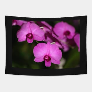 Purple Power: Moth Orchid or Phalaenopsis Tapestry