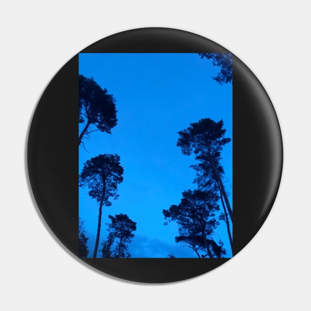 The trees are are watching us from a clear blue night sky Pin by Artonmytee