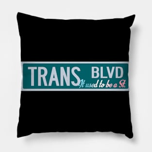 trans blvd Pillow