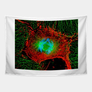 Mitosis cell division (P673/0055) Tapestry