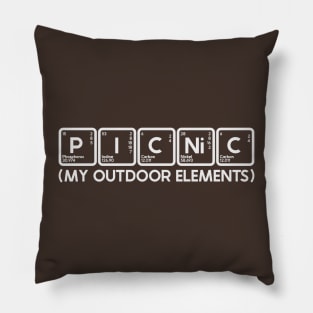 Chem Picnic Pillow