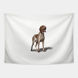 The Bracco Italiano Tapestry