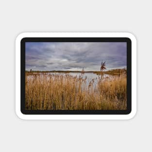 Rockland Broad, Norfolk Broads National Park Magnet