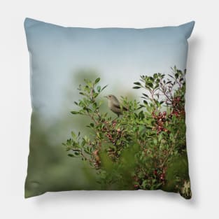 Little Grey Bird Perching on a Bush Pillow