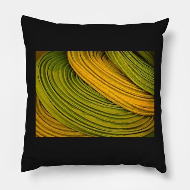 Felt Hat Abstract II Pillow by AlexaZari