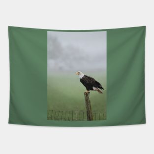 Eagle Perched Tapestry