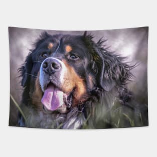 Bernie gift , dog lover, mountain dogs Tapestry