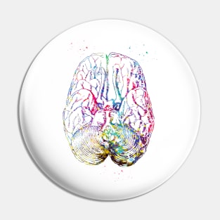 Human brain section Pin