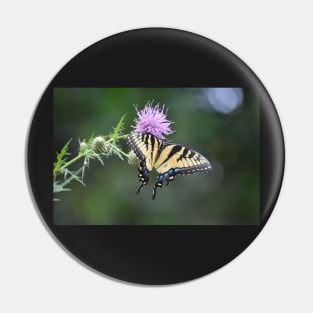 Swallowtail on Thistle Pin