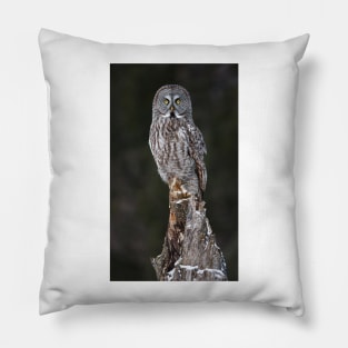 The Phantom - Great Grey Owl Pillow