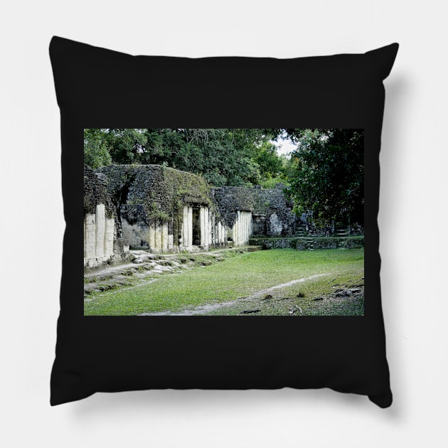 Guatemala - site archéologique de Tikal Pillow by franck380