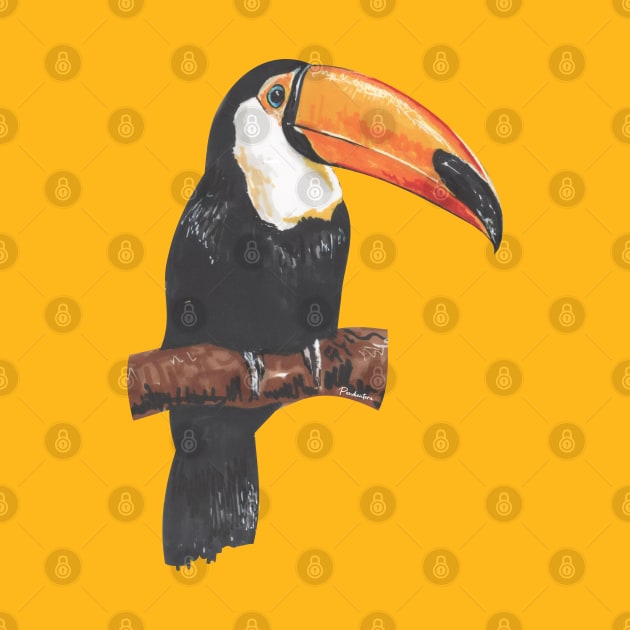 Toucan by Pendientera