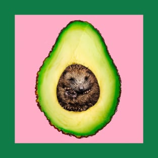 avocado surrealism T-Shirt