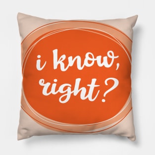I know, right? Pillow