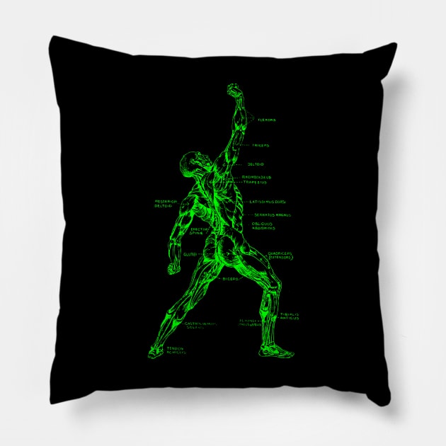 Muscular System Pillow by GloopTrekker