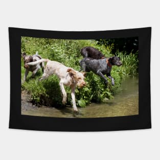 River adventure Spinone Tapestry