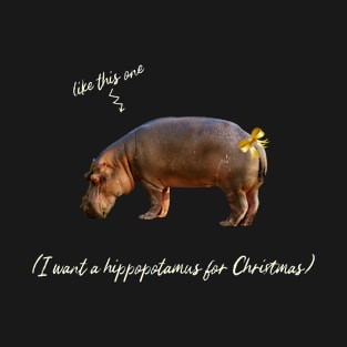 I want a hippopotamus for Christmas T-Shirt