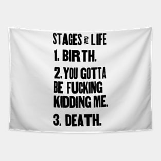 The Stages of Life Tapestry