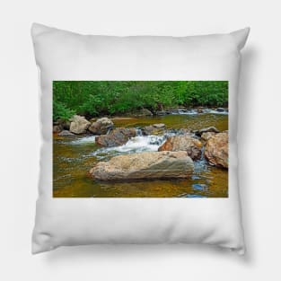 Big Thompson River Falls Pillow