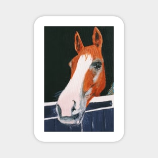 Chestnut Horse Magnet