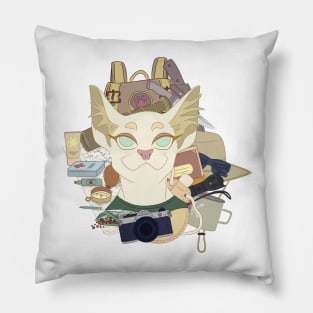 Explorer Kitteh Pillow