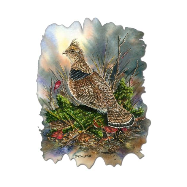 Ruffed Grouse by Dave Bartholet Wildlife Art