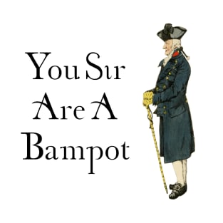 You Sir are a Bampot! T-Shirt