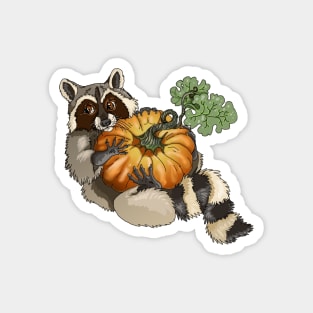 Pumpkin Bandit Raccoon Magnet