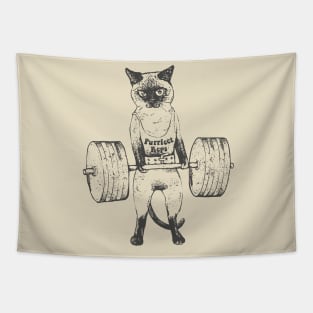 Siamese Cat Lift Tapestry