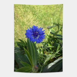 Blue Batchelor Button Tapestry