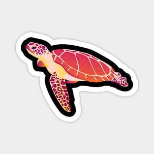 Colorful Turtle Magnet