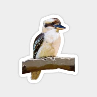 Laughing Kookaburra Magnet