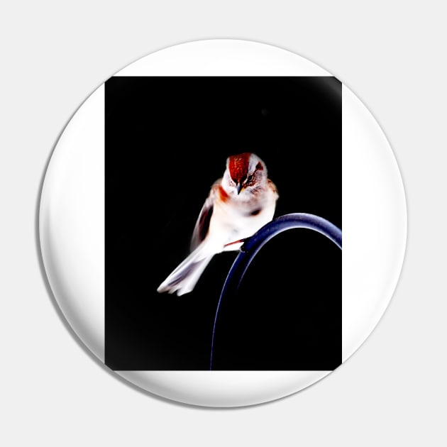 American Tree Sparrow Pin by LaurieMinor