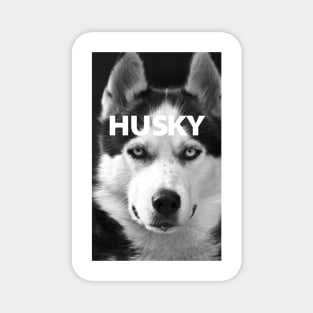 Super Husky Magnet