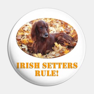 Irish Setters Rule! Pin