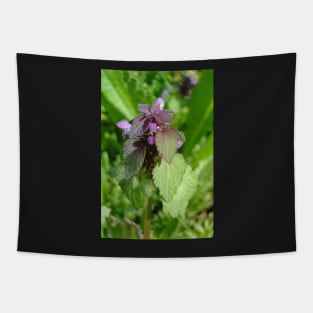 Dead Nettle Tapestry