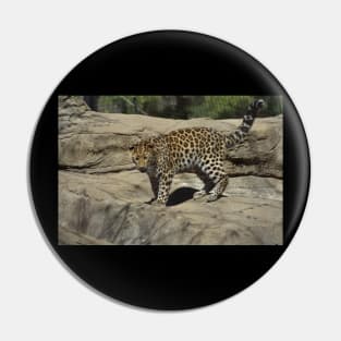 Amur Leopard Pin