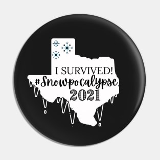 Snowpocalypse Pin