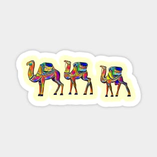 Camels in Color Magnet