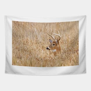 In the marsh - White-tailed deer Tapestry