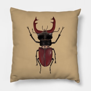 European Stag Beetle Pillow