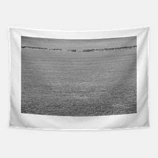 Black & White Grass Of Home Tapestry