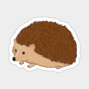 Hedgehog Cute Woodland Creature Magnet