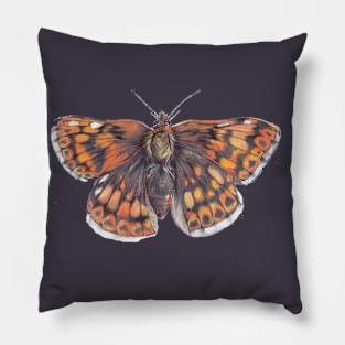 Duke of Burgundy Pillow