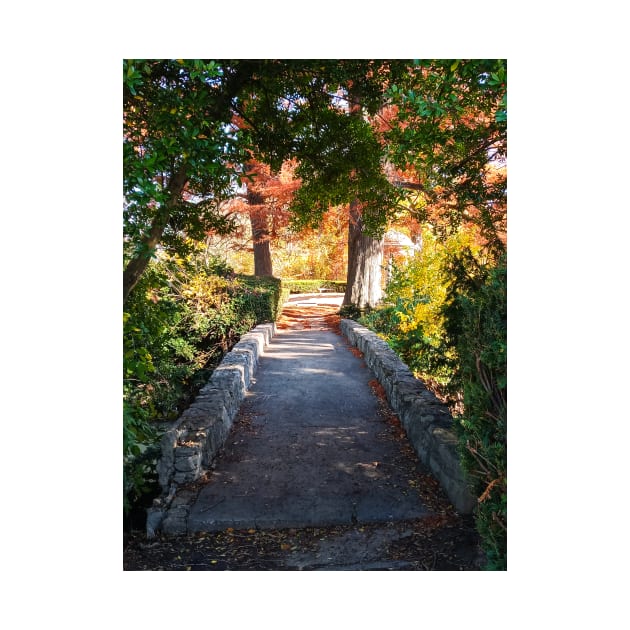 Magic Fairy Autumn Stone Bridge Leaves red yellow orange and green nature pretty delicate foliage by sandpaperdaisy