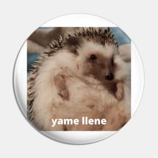 Memes Hedgehog yame fille Pin