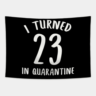 I Turned 23 In Quarantine Tapestry