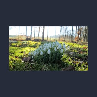 Snowdrops in the Shade T-Shirt