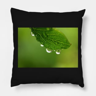 Rain drops on the leaf Pillow