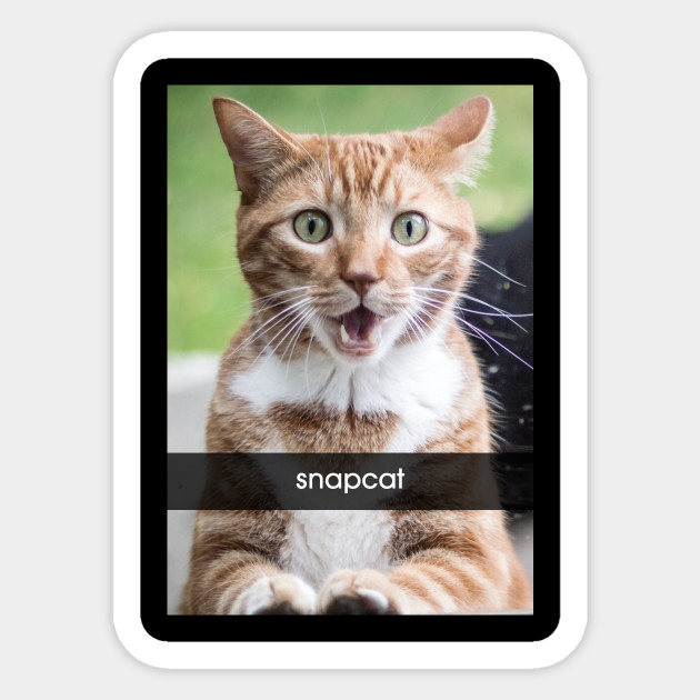 snapcat t shirt snapchat sticker teepublic